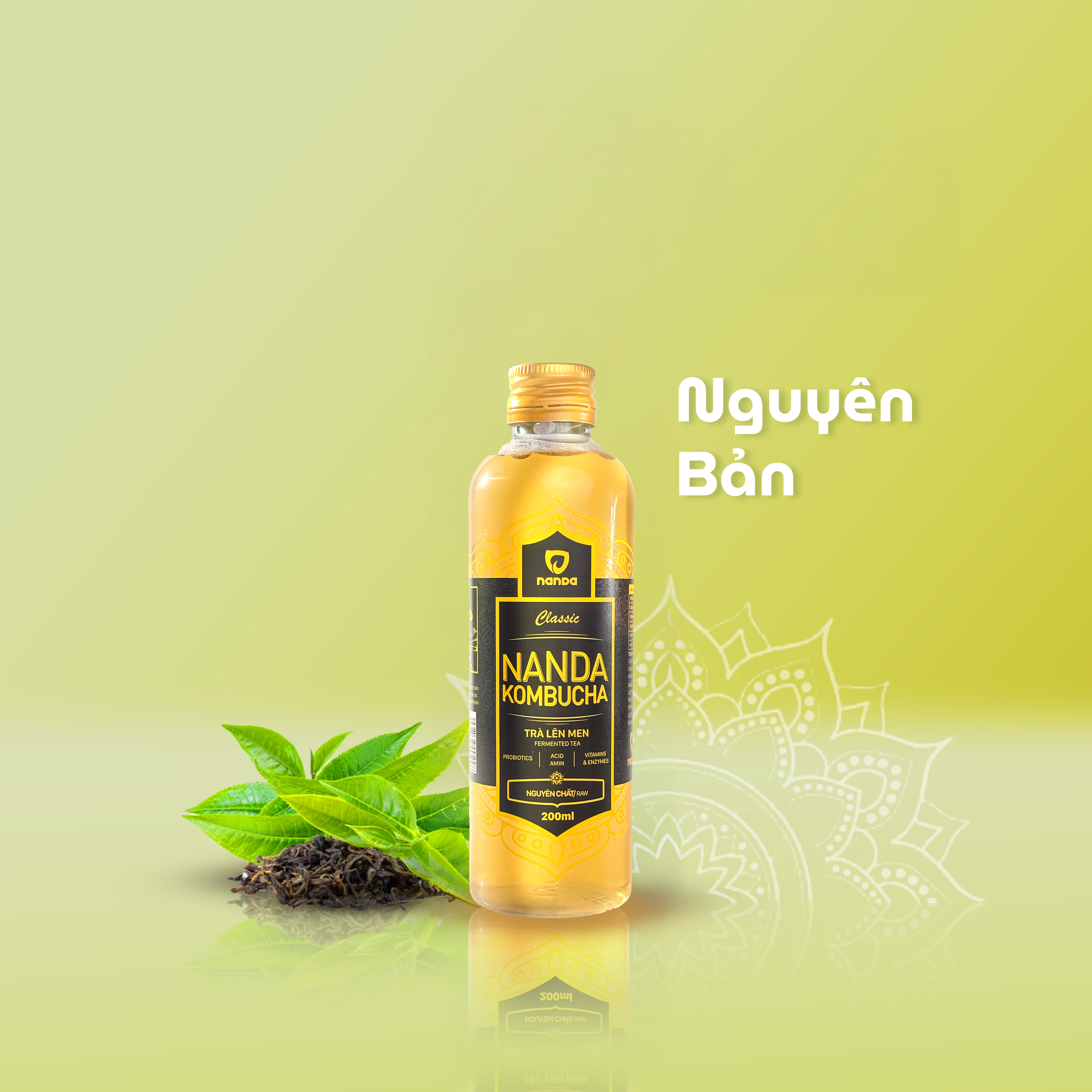 Kombucha Nguyên bản