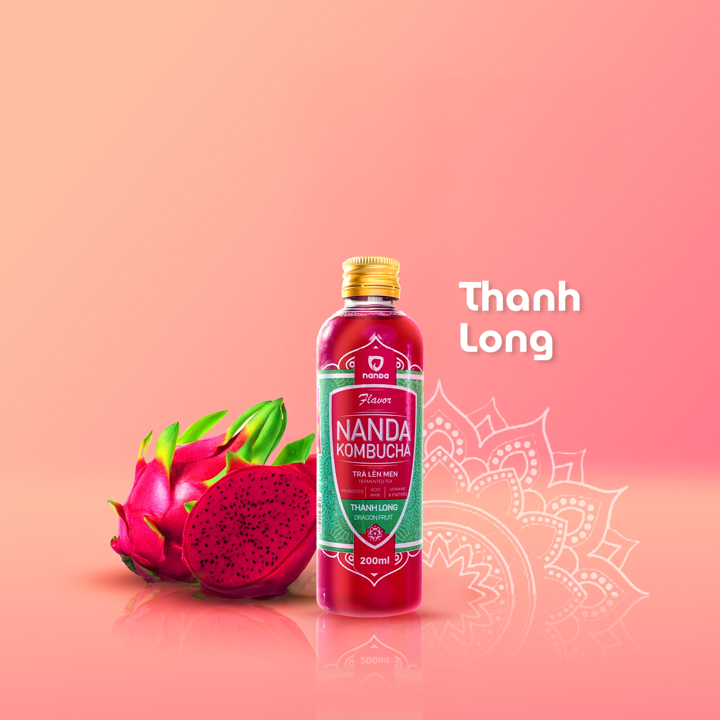 Kombucha Thanh Long