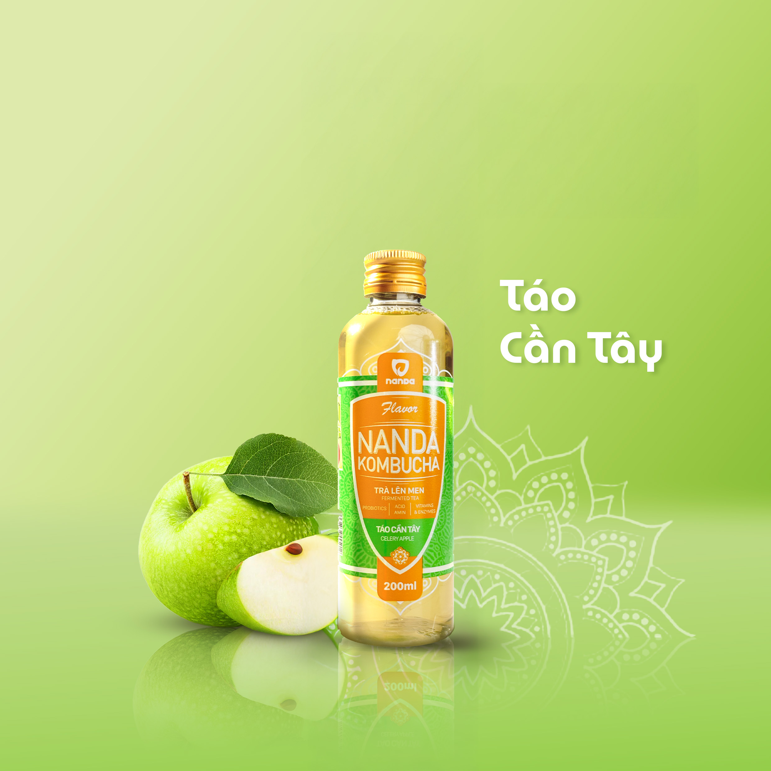 Kombucha Táo Cần Tây