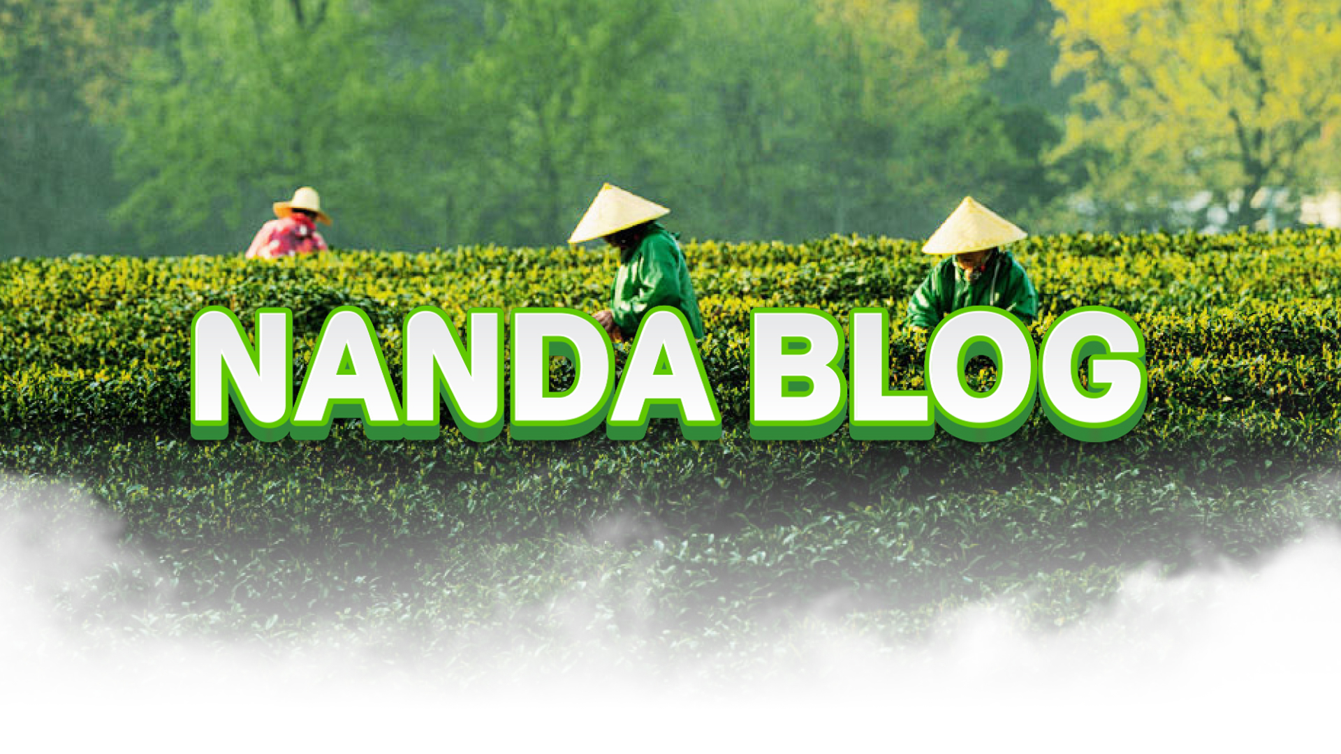 Nanda Blog