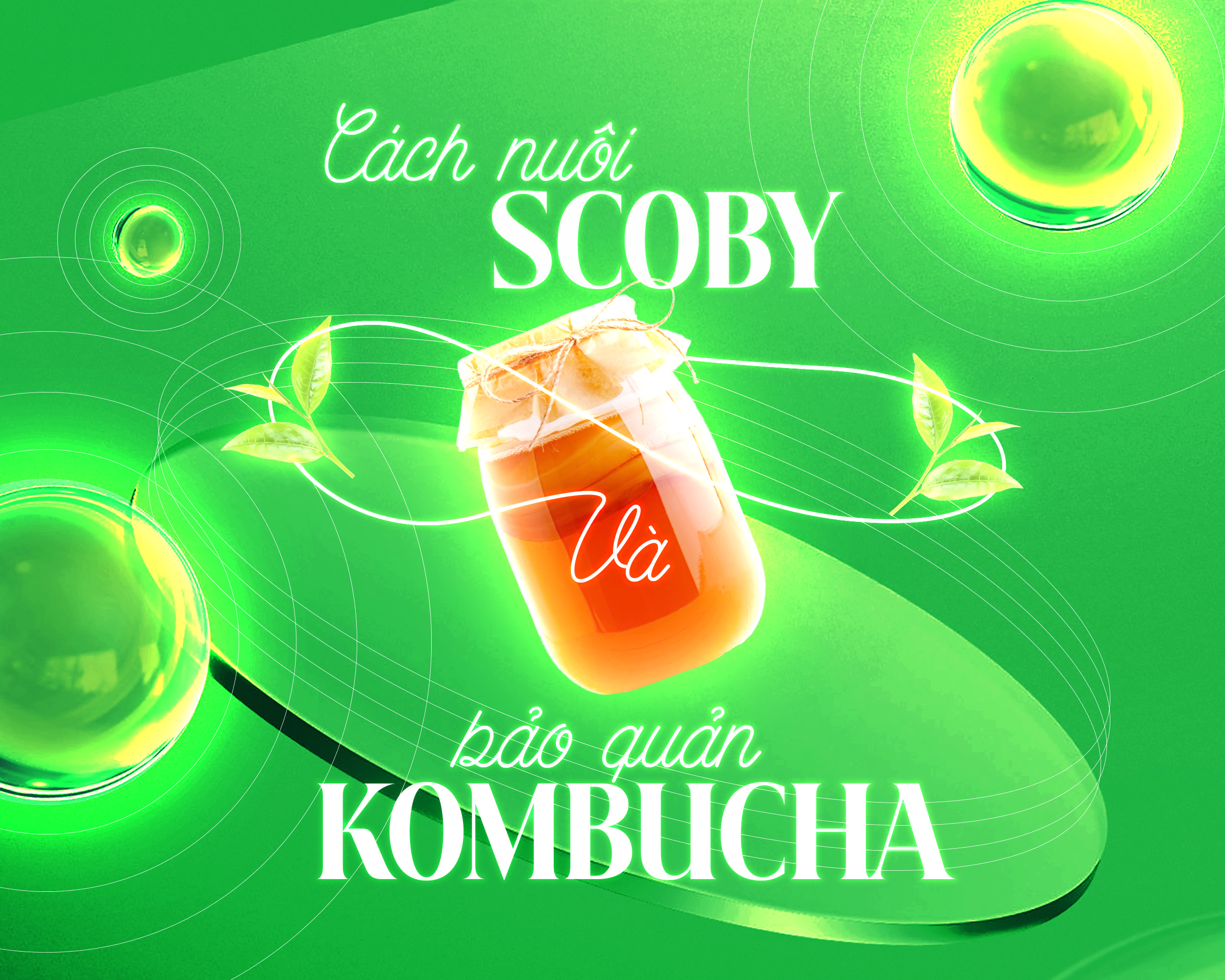 Kombucha là gì? Công dụng, lợi ích và cách uống kombucha tốt cho sức khỏe