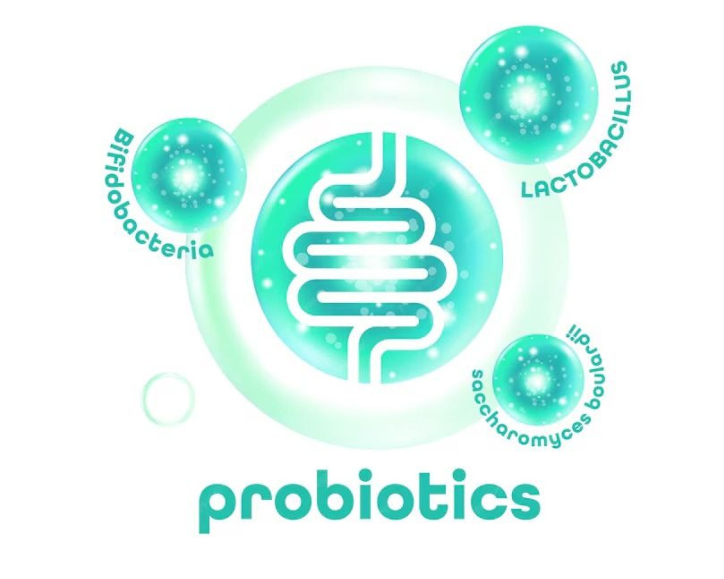 Probiotics là gì? Lợi ích và các cách bổ sung tốt cho cơ thể