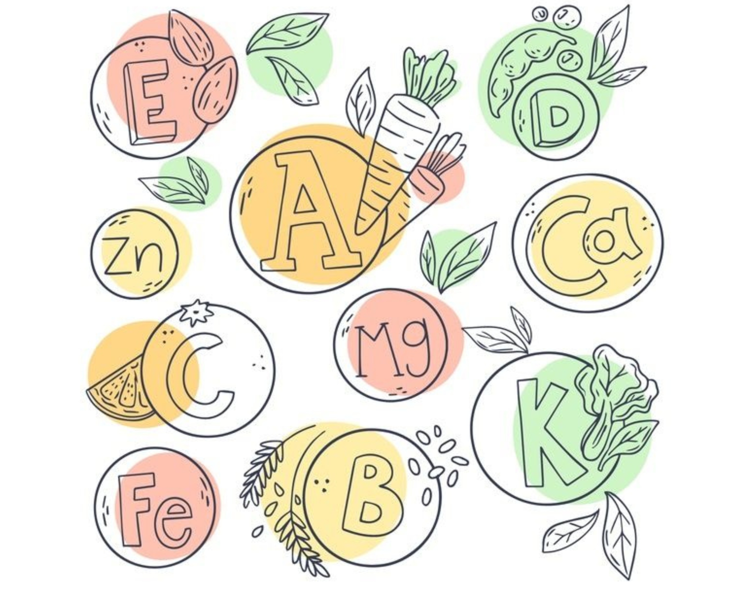 Vitamin là gì? Các loại vitamin cần thiết cho cơ thể